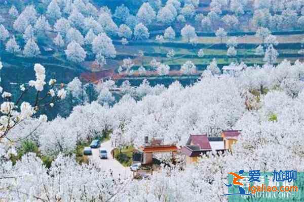 宣城赏花地推荐 附赏花地图？