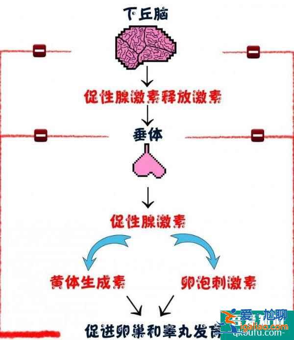 分析致卵子发育有问题的原因，如何改善？？