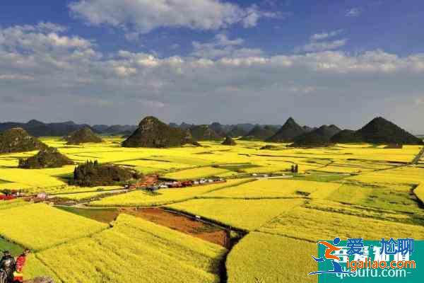 2021长沙油菜花欣赏有哪些地方 长沙油菜花景点推荐？