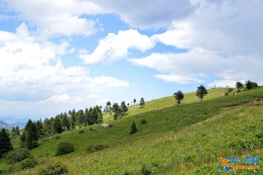 石家庄热门景点有哪些，石家庄热门景点值得去吗，石家庄热门景点攻略？