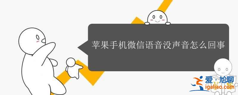 苹果手机微信语音没声音怎么回事？