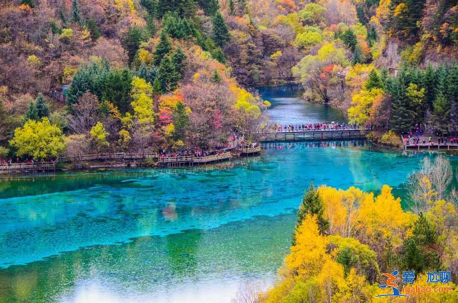 九寨沟有哪些热门打卡景点，九寨沟必游景点盘点，去九寨沟怎么玩？