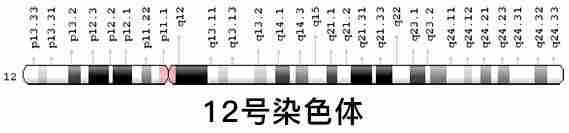 上海代生宝宝【供卵自怀】？