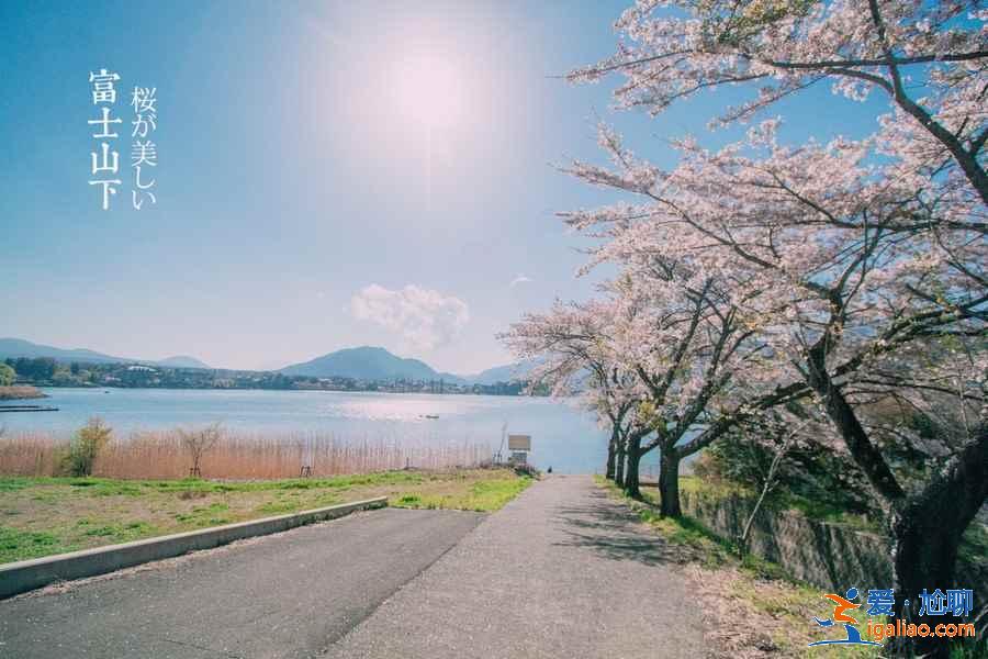 【富士山最佳观赏点】观赏富士山在什么地方合适，富士山哪里看比较美？