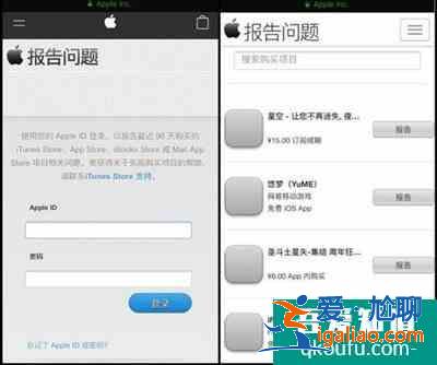 app退款*成功的理由要怎么写？