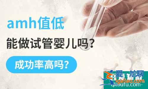 amh值低能做试管婴儿吗 成功率高吗？