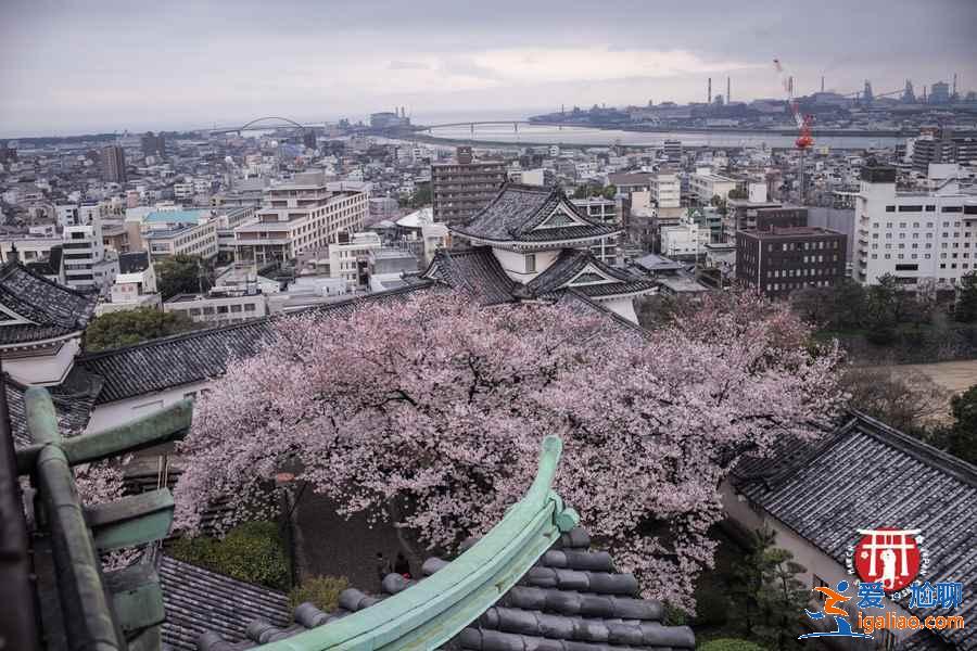 日本和歌山怎么玩，日本和歌山游玩攻略，日本和歌山景点推荐？