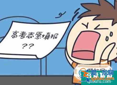 高考报志愿技巧？