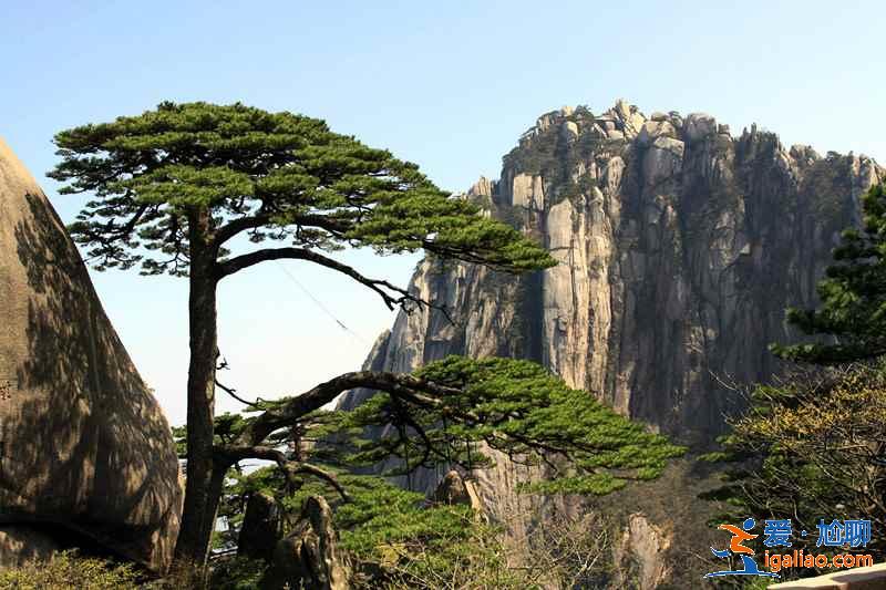 黄山亲子游去哪玩，黄山亲子游景点推荐，带娃去黄山哪里好玩？