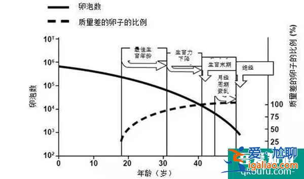 泰国试管婴儿如何预估成功率?专家提供三项参考指标？