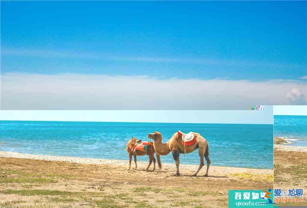 青海湖最佳旅游季节/路线 青海湖适合玩几天？？