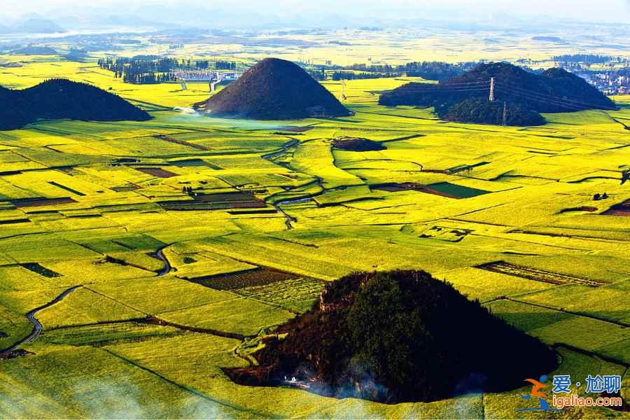 中国赏油菜花地图，赴一场花田盛宴！？