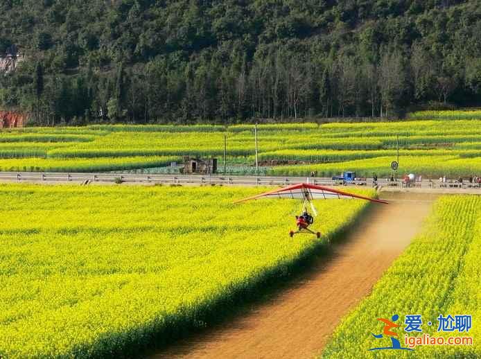 2018云南罗平油菜花节，什么时候去罗平旅游好？