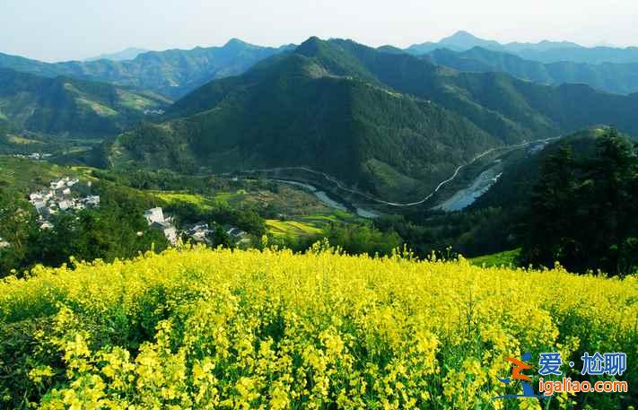 2017石潭油菜花什么时候开，2017石潭油菜花赏花攻略？