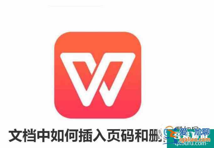 wps文档中如何插入页码和删除页码？