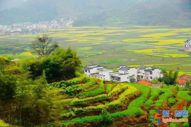 2018篁岭油菜花盛开时间，篁岭油菜花什么时候开？