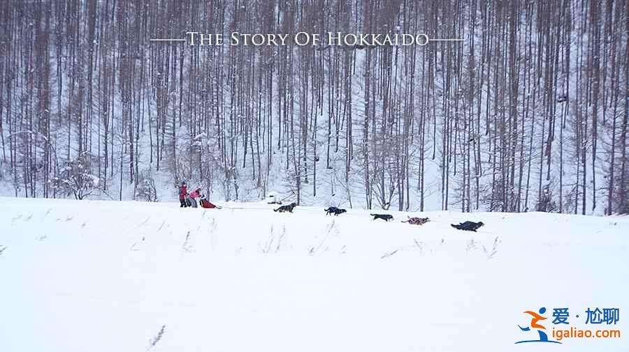 北海道几月可以滑雪，北海道最佳滑雪时间？