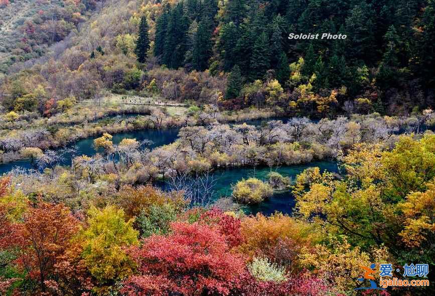 秋天适合去哪里旅游，秋季旅游好去处推荐？