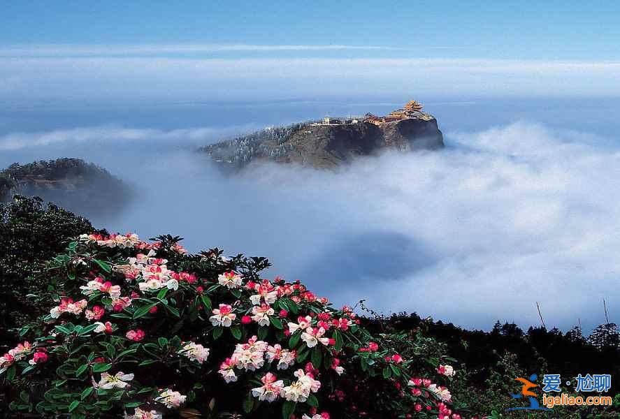 峨眉山有哪些网红景点，峨眉山网红景点好玩吗，峨眉山网红景点推荐？