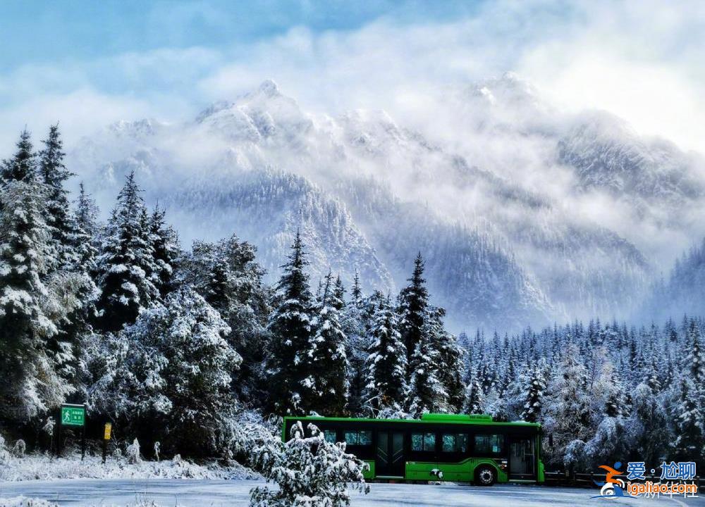 火锅 安排吗？今日大雪 进补的好时节……？