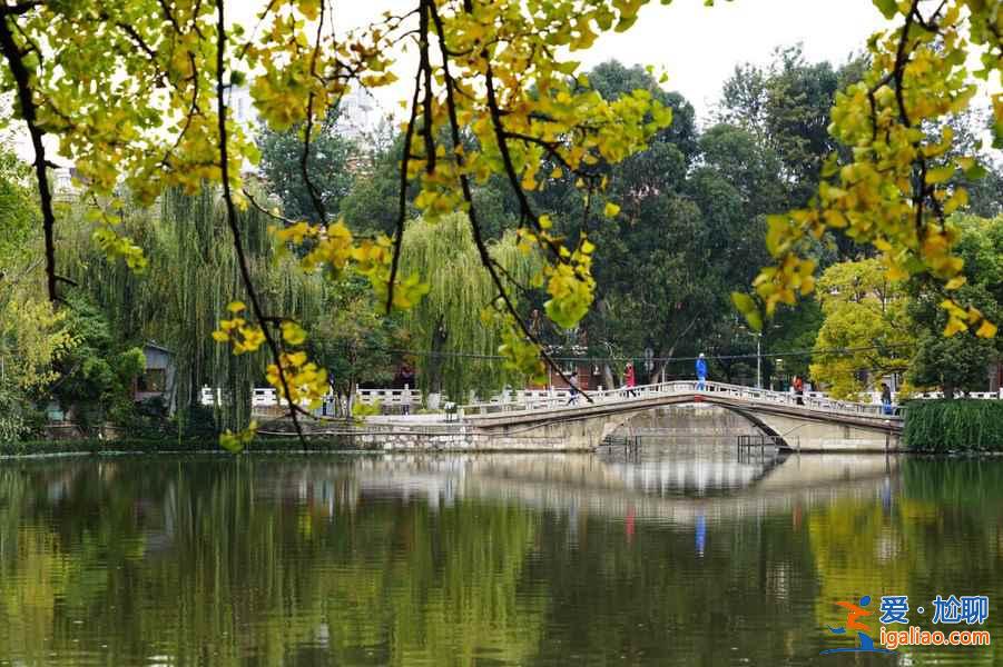 昆明，一个四季都花开不败的城市花园？