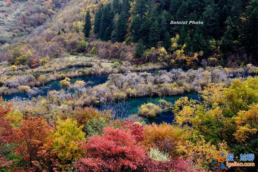 九寨沟最佳旅游路线，九寨沟怎么玩？