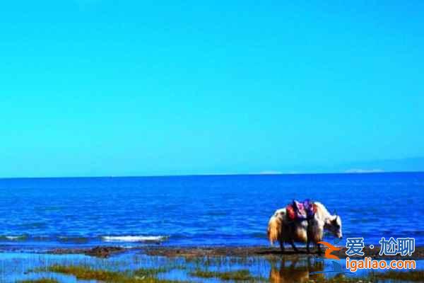 青海有什么好玩的地方，青海有哪些旅游景点？