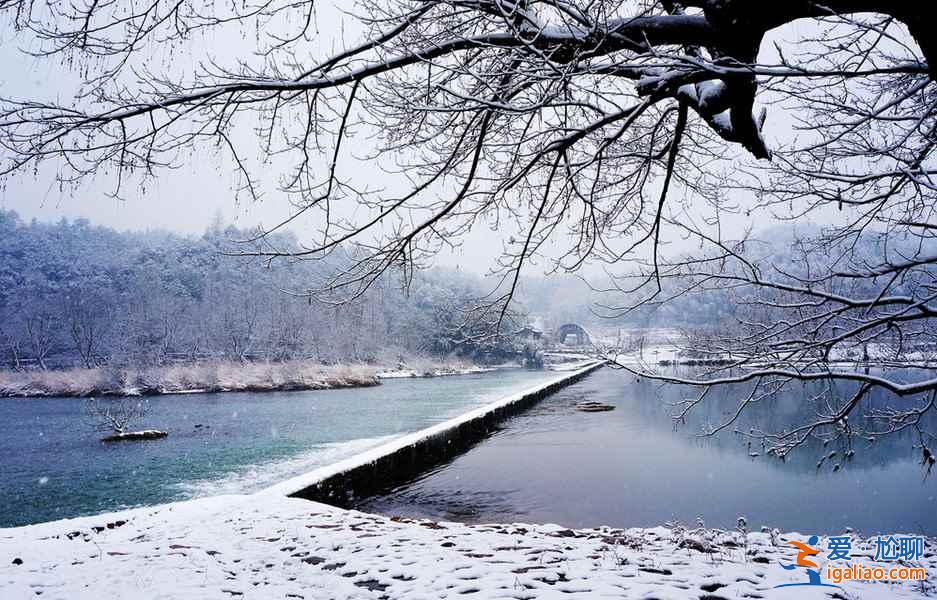 雪后的南方，这是我见过最美的冬景！？