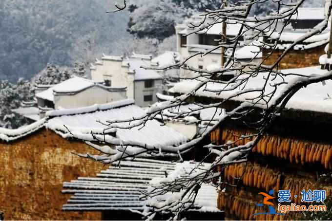 不谈油菜花，来看看下雪的婺源有多美！？