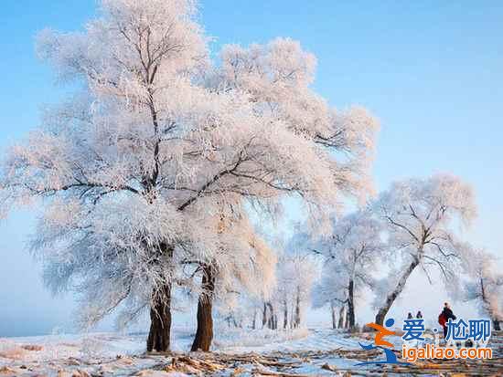 新年第一游，国内6大旅行地High起来！？