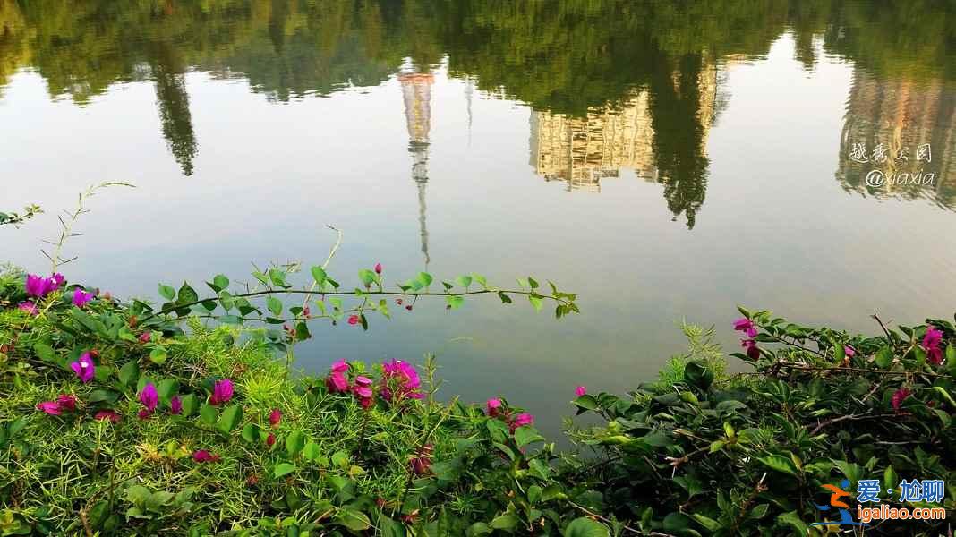 广州最美赏花地，去“花城”看花吧！？