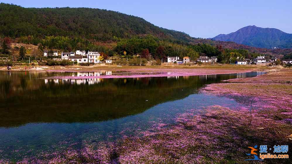 桃花源里，有个塔川（摄影圣地）？