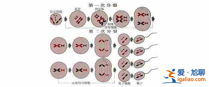 代生孕男孩价格汕头,生男生女问题？