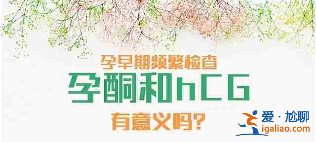 消息：重庆代怀男孩的公司-你了解多少？？