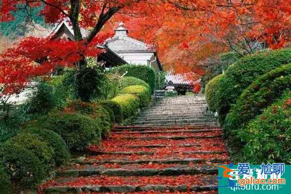 北京香山公园门票多少钱 香山公园如何预约购票？