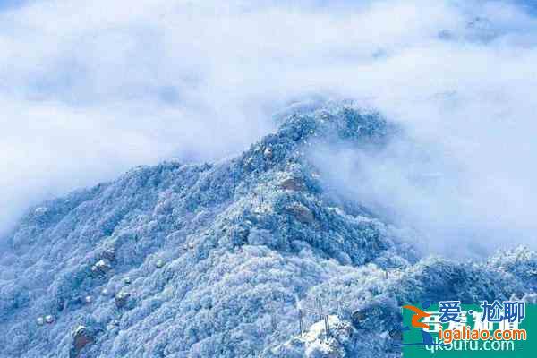 栾川冬季旅游哪儿好玩 适合冬天玩的栾川景点？