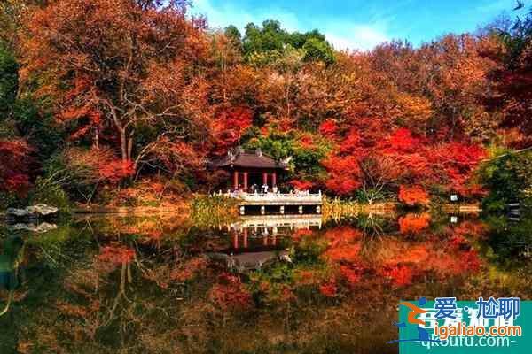 南京栖霞山冬季旅游攻略？