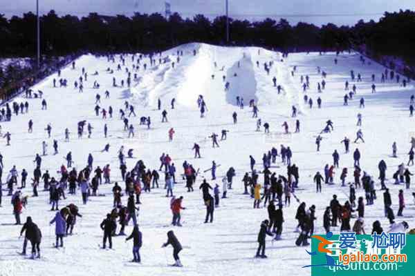 沈阳去哪里可以滑雪？