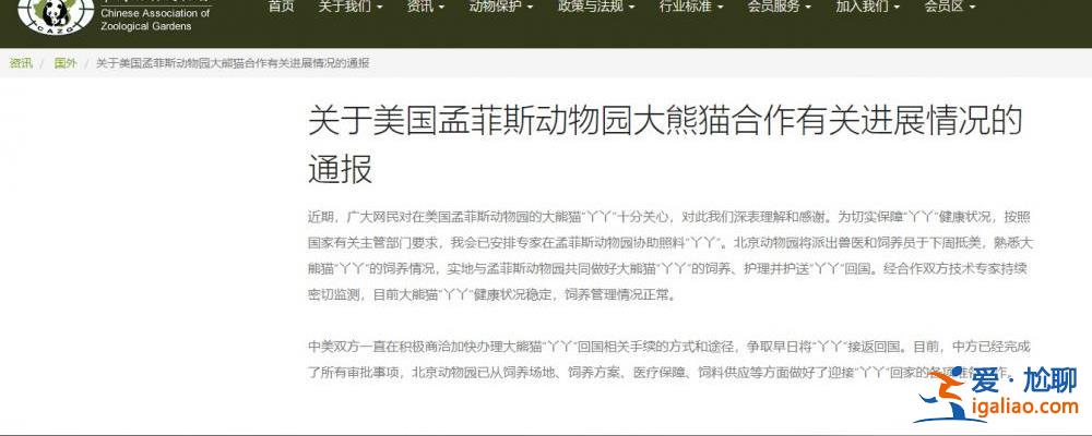 北京动物园将派兽医和饲养员于下周抵美 护理并护送熊猫“丫丫”回国？