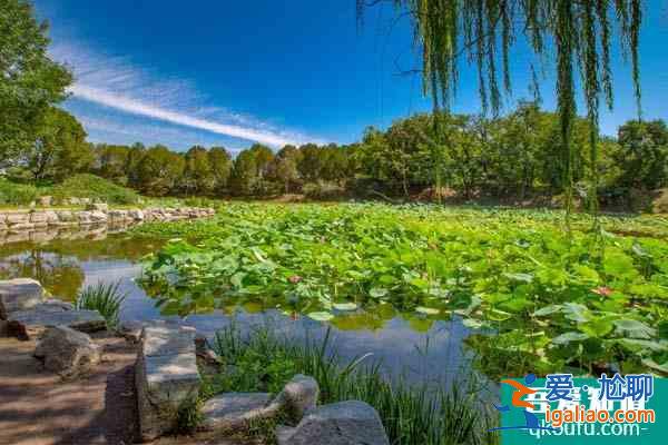 圆明园船票多少钱 圆明园划船价格及营业时间介绍？