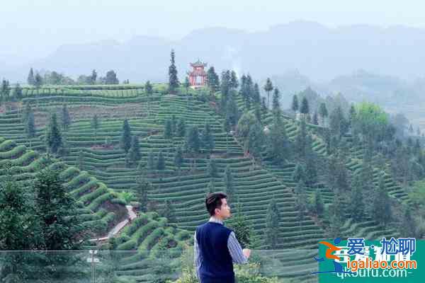 雅安蒙顶山新年虎福免门票活动详解？