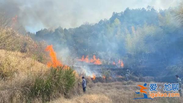 浙江多地因祭祀引发山林火灾 两人已被采取刑事强制措施？