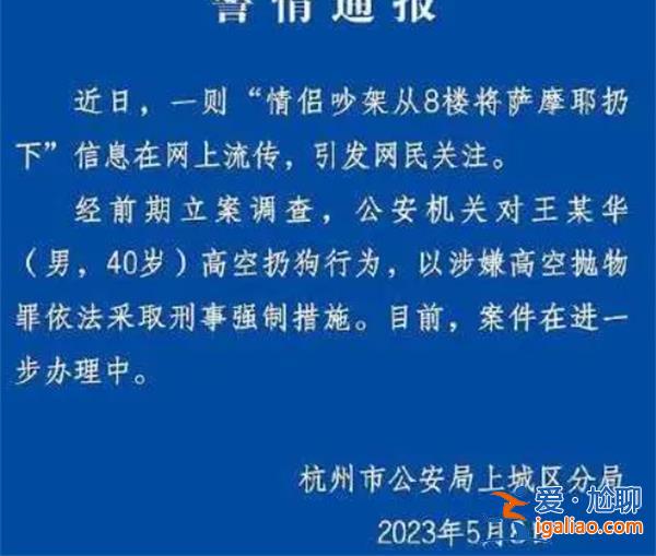 情侣吵架从8楼将萨摩耶直接扔下[吵架]？