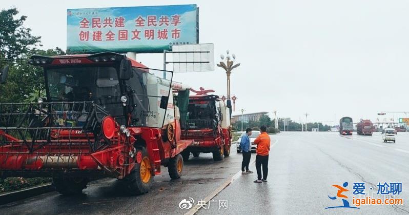 下不停的雨和高速路上的收割机 谁拖了河南麦收的后腿？媒体梳理分析？