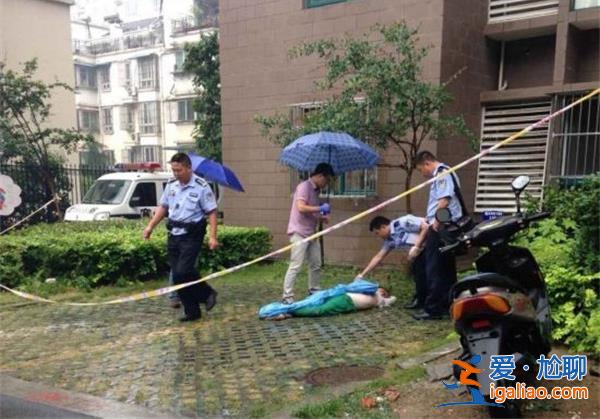 校内被撞身亡小学生母亲坠楼身亡是真的吗[母亲坠楼身亡]？