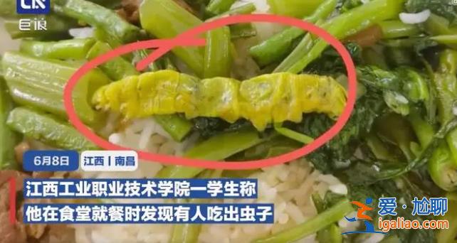 江西一高校食堂吃出异物后 又有学生称吃出大青虫 背后食堂承包商曝光？