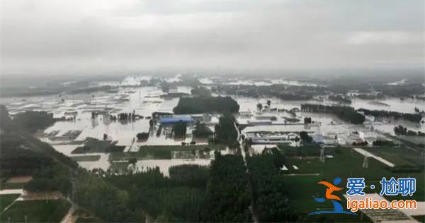 河北保定涿州市大暴雨，救援工作正在展开[涿州市]？