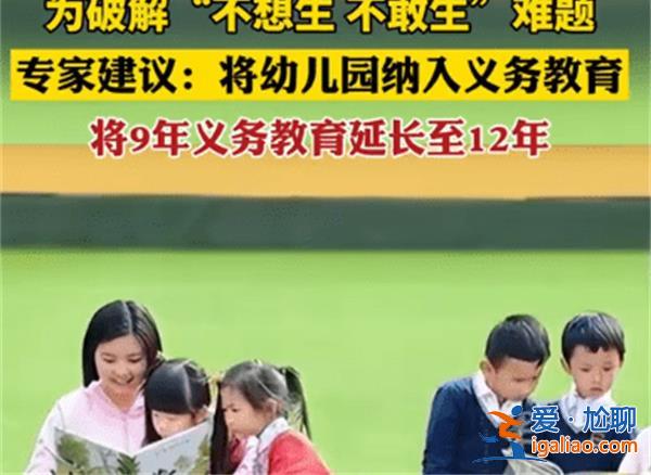 专家建议将幼儿园纳入义务教育？