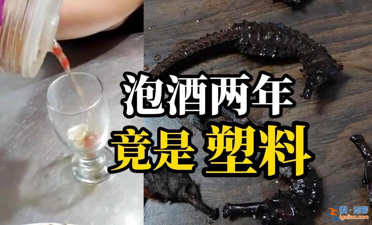 男子发现泡2年药酒里的海马是塑料，要看一点[发现]？