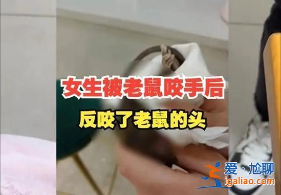 女生被老鼠咬伤手后为何反咬老鼠，如何防止老鼠咬伤[防止老鼠咬伤]？